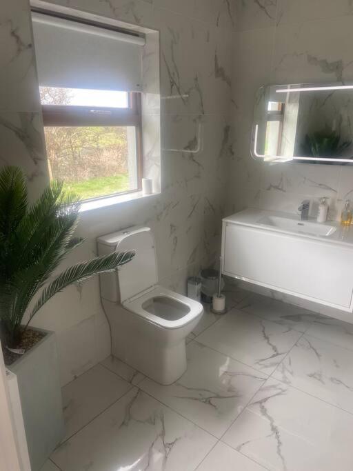 Modern Apartment At Croagh Patrick Westport Exterior foto